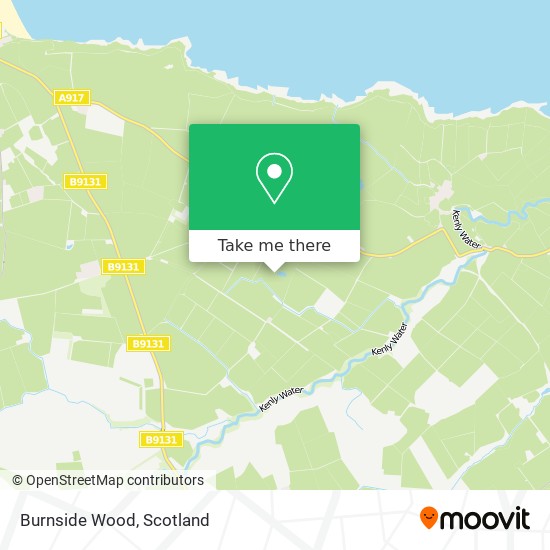 Burnside Wood map