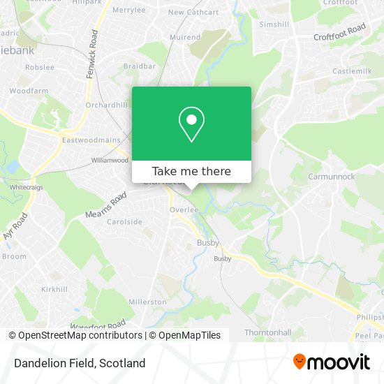Dandelion Field map