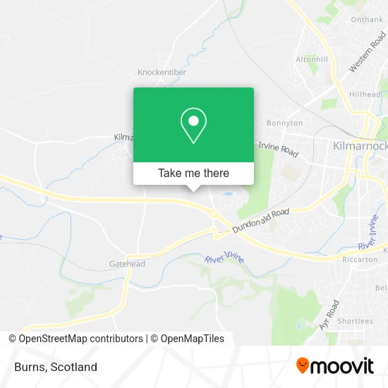 Burns map