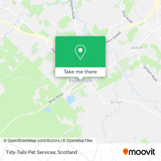 Tidy-Tails Pet Services map