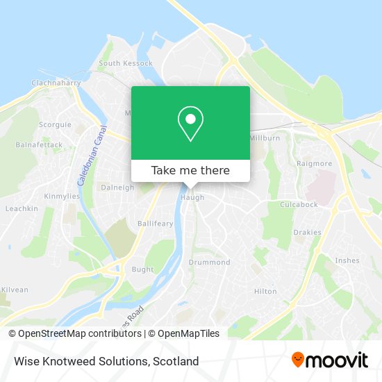 Wise Knotweed Solutions map