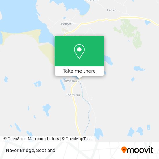 Naver Bridge map