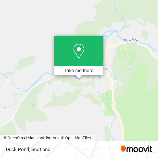 Duck Pond map