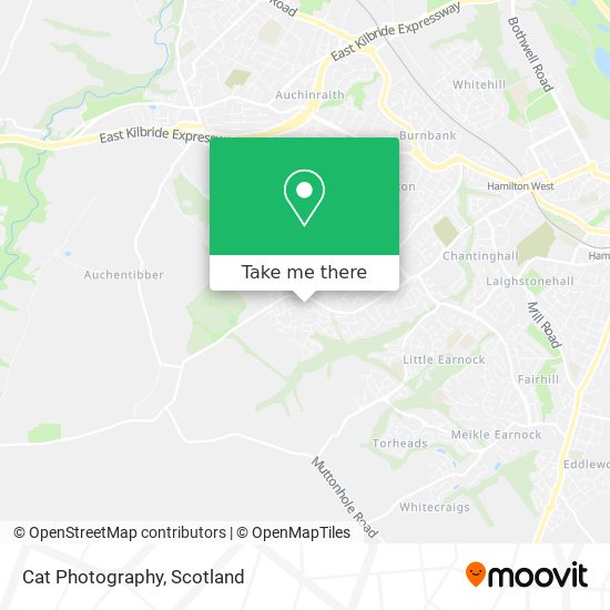 Cat Photography map