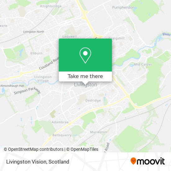 Livingston Vision map