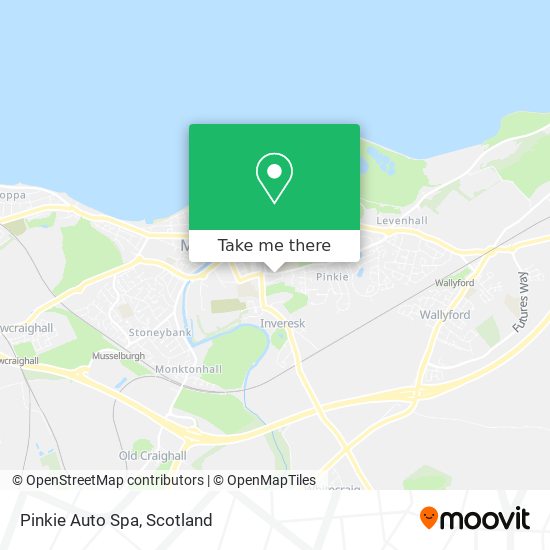 Pinkie Auto Spa map