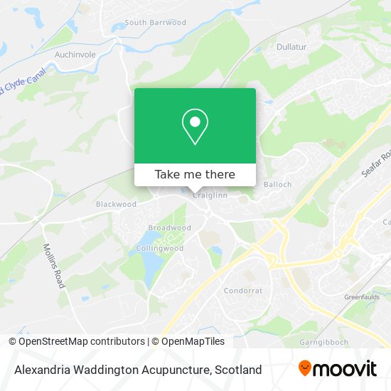 Alexandria Waddington Acupuncture map