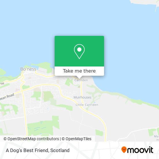 A Dog's Best Friend map