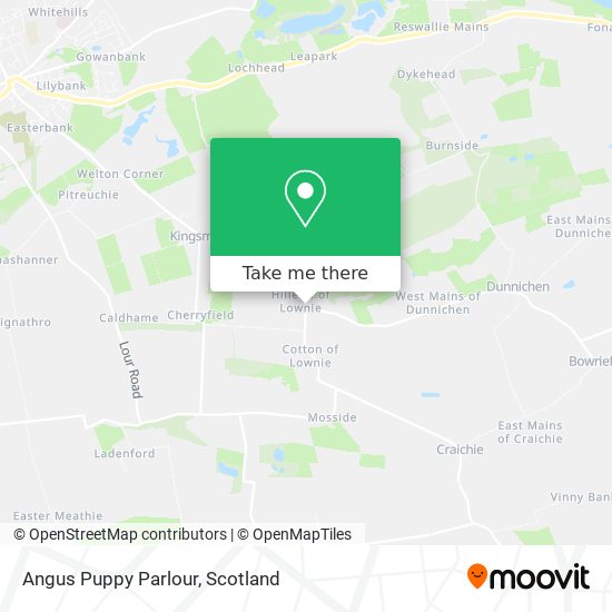 Angus Puppy Parlour map