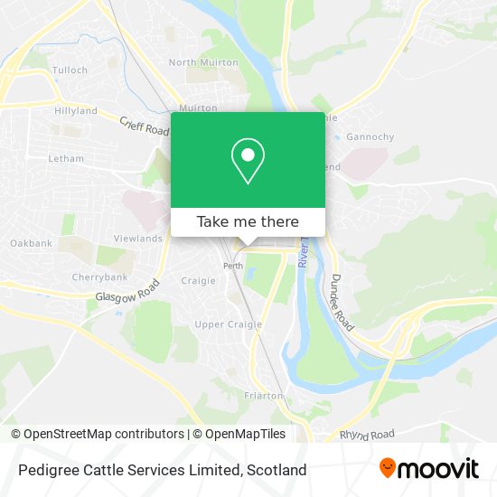 Pedigree Cattle Services Limited map