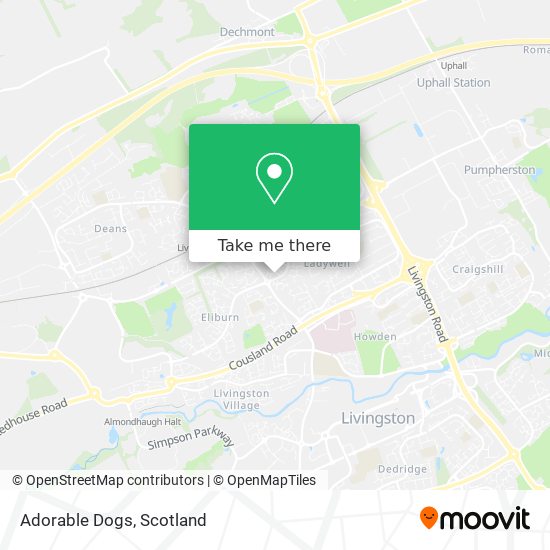 Adorable Dogs map