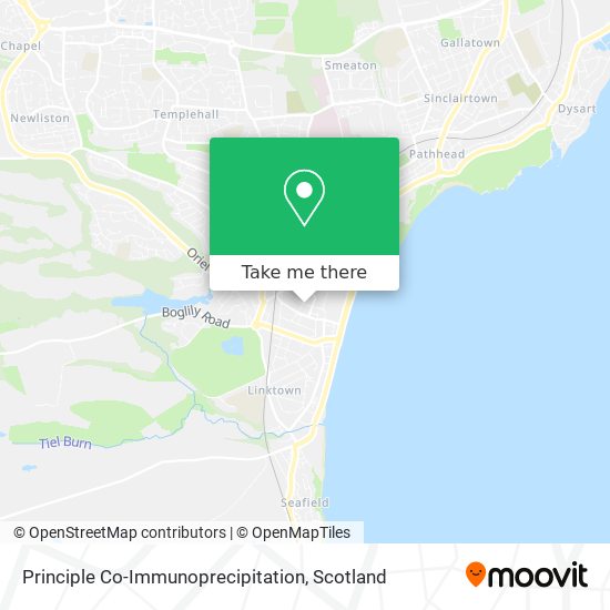 Principle Co-Immunoprecipitation map