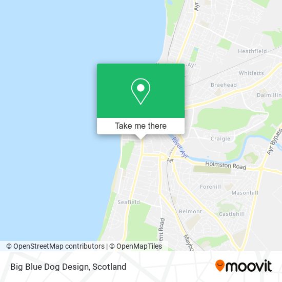 Big Blue Dog Design map