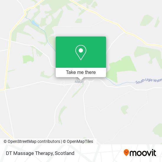 DT Massage Therapy map