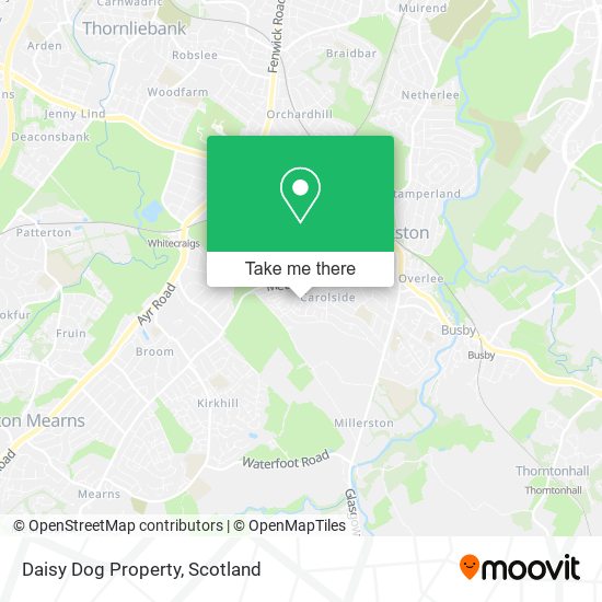 Daisy Dog Property map