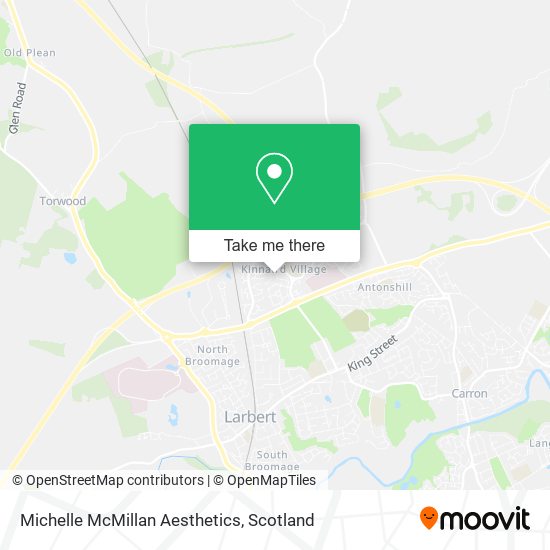 Michelle McMillan Aesthetics map