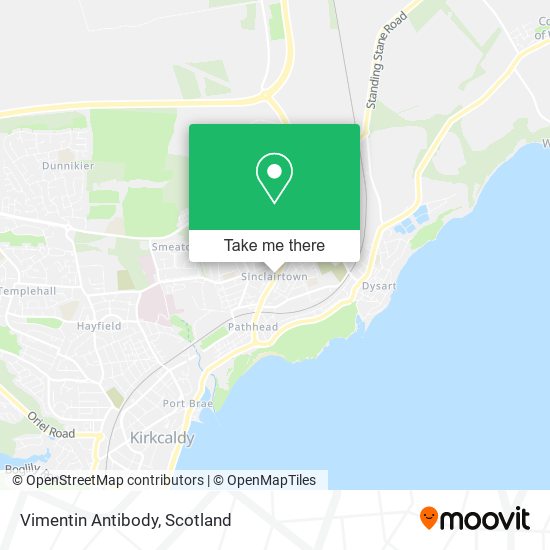 Vimentin Antibody map