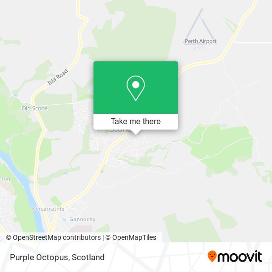 Purple Octopus map