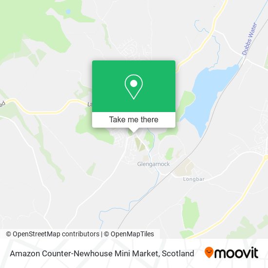 Amazon Counter-Newhouse Mini Market map