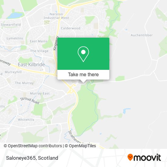 Saloneye365 map