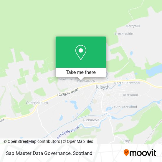 Sap Master Data Governance map