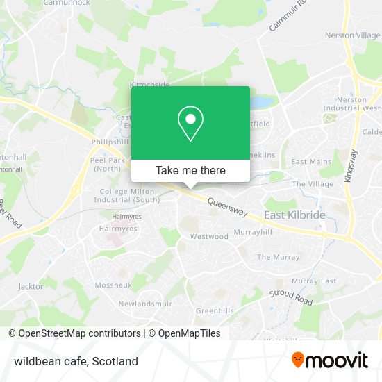 wildbean cafe map