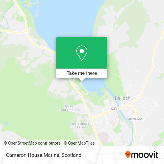 Cameron House Marina map
