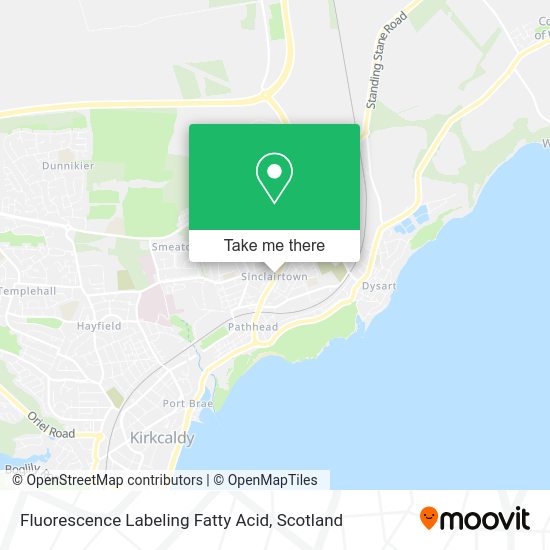 Fluorescence Labeling Fatty Acid map