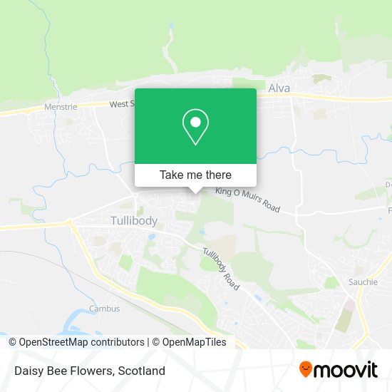 Daisy Bee Flowers map
