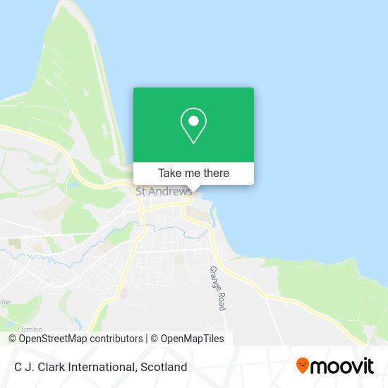 C J. Clark International map