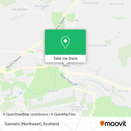 Gannets (Northeast) map