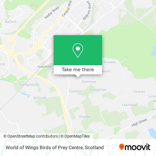 World of Wings in - Cumbernauld