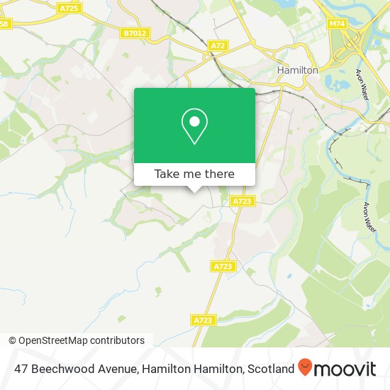 47 Beechwood Avenue, Hamilton Hamilton map
