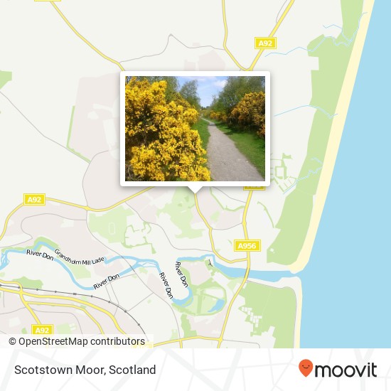 Scotstown Moor map