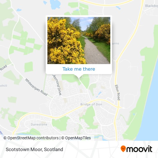 Scotstown Moor map