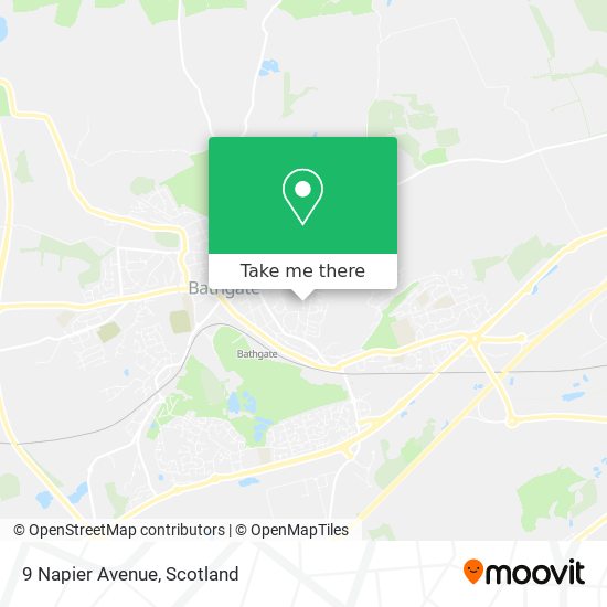 9 Napier Avenue map
