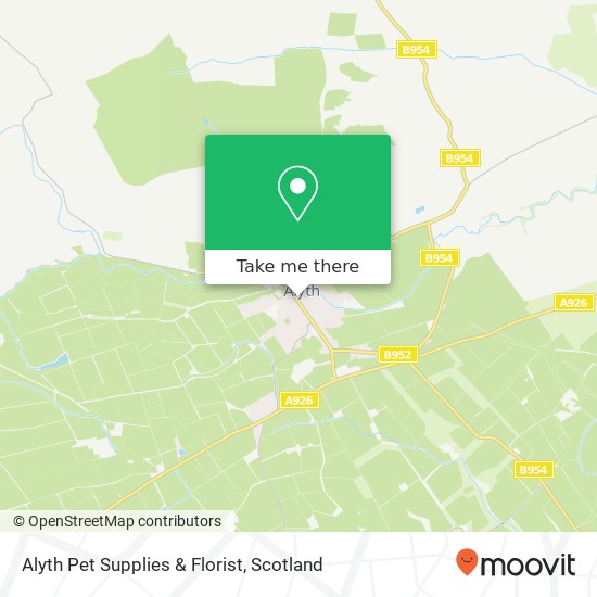 Alyth Pet Supplies & Florist map