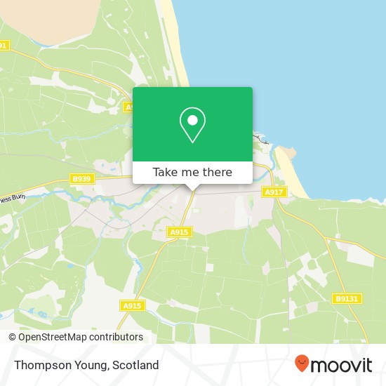 Thompson Young map