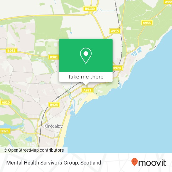 Mental Health Survivors Group map