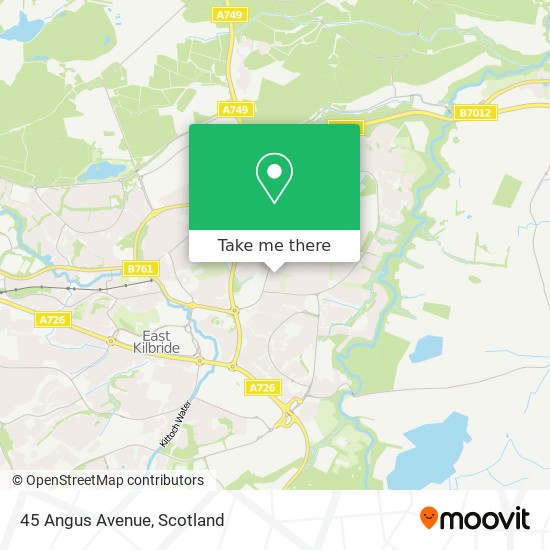 45 Angus Avenue map