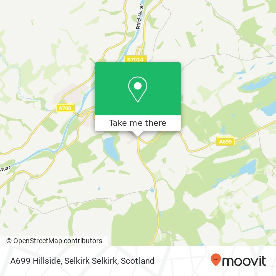 A699 Hillside, Selkirk Selkirk map