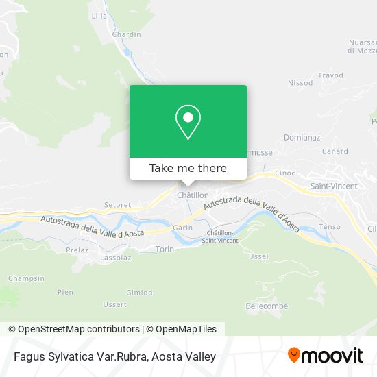 Fagus Sylvatica Var.Rubra map