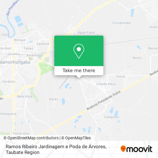 Ramos Ribeiro Jardinagem e Poda de Árvores map