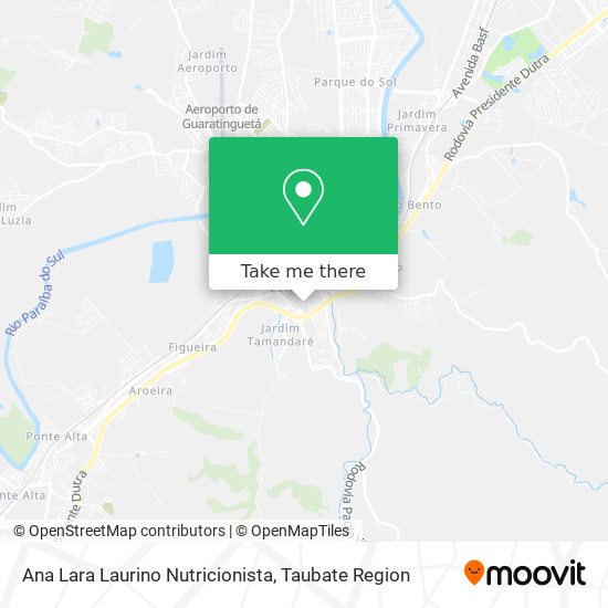 Ana Lara Laurino Nutricionista map