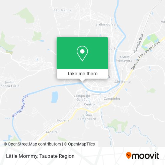 Little Mommy map