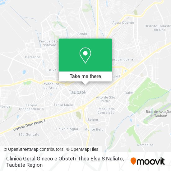 Clínica Geral Gineco e Obstetr Thea Elsa S Naliato map