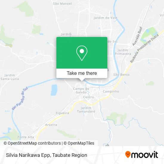 Silvia Narikawa Epp map