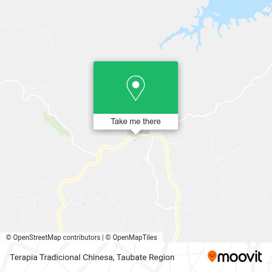 Terapia Tradicional Chinesa map