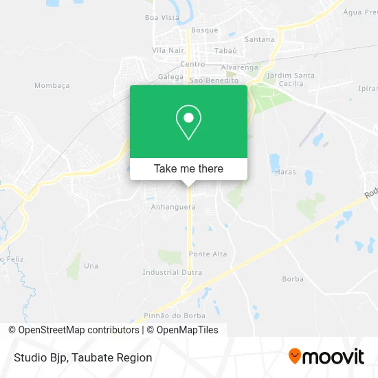 Studio Bjp map