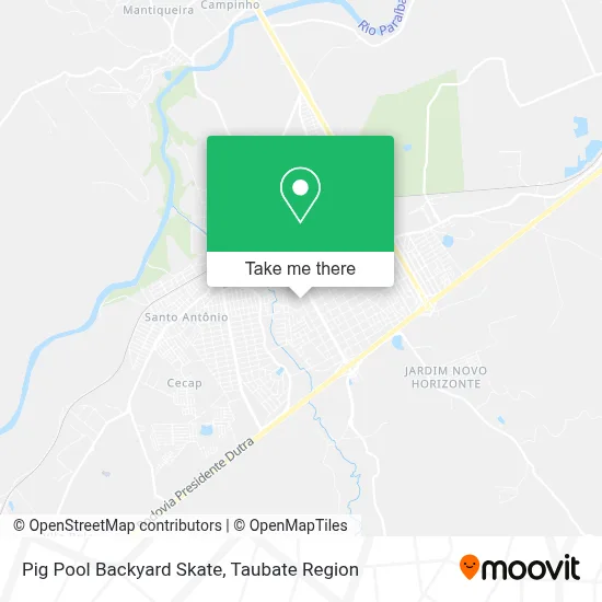 Pig Pool Backyard Skate map
